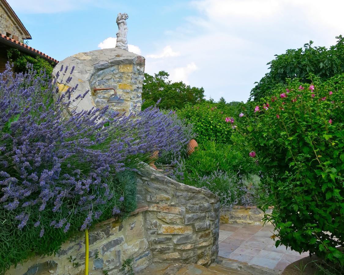 Fonte Magia Bed & Breakfast Castel de' Fiori Exterior photo