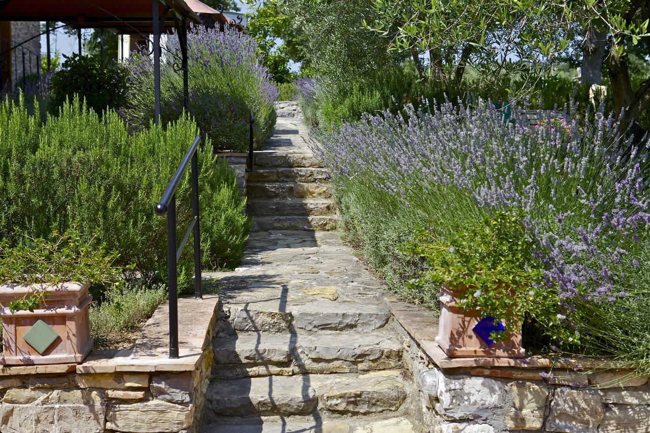 Fonte Magia Bed & Breakfast Castel de' Fiori Exterior photo