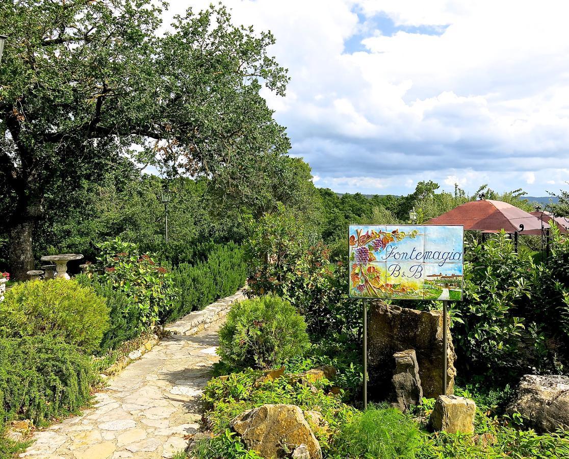 Fonte Magia Bed & Breakfast Castel de' Fiori Exterior photo